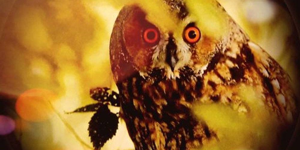 Monde de Veronique B – Ecrit AlmaVie Monde de Veronique B - Ecrit AlmaVie