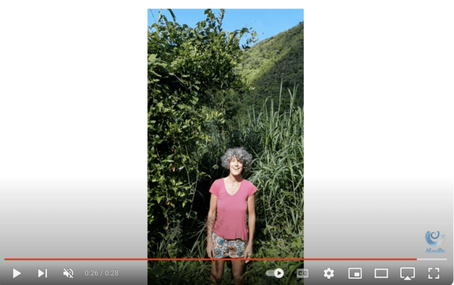 Screenshot 2024-08-04 at 11.32.23 PM